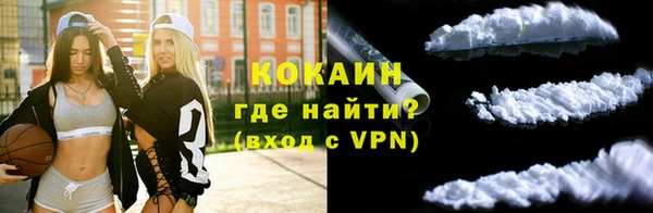 ПСИЛОЦИБИНОВЫЕ ГРИБЫ Горнозаводск