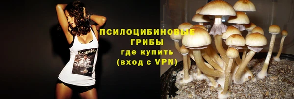 марки lsd Горняк