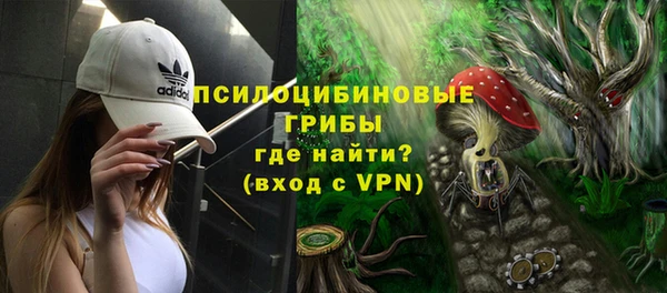 ПСИЛОЦИБИНОВЫЕ ГРИБЫ Горнозаводск