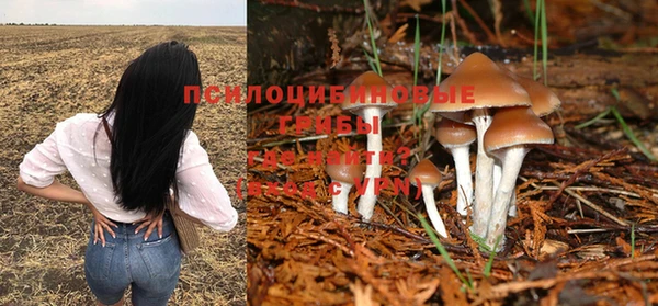 ПСИЛОЦИБИНОВЫЕ ГРИБЫ Горнозаводск