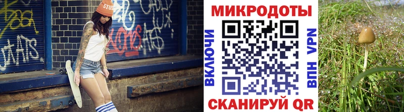 Купить  Опочка  Галлюциногенные грибы мицелий 